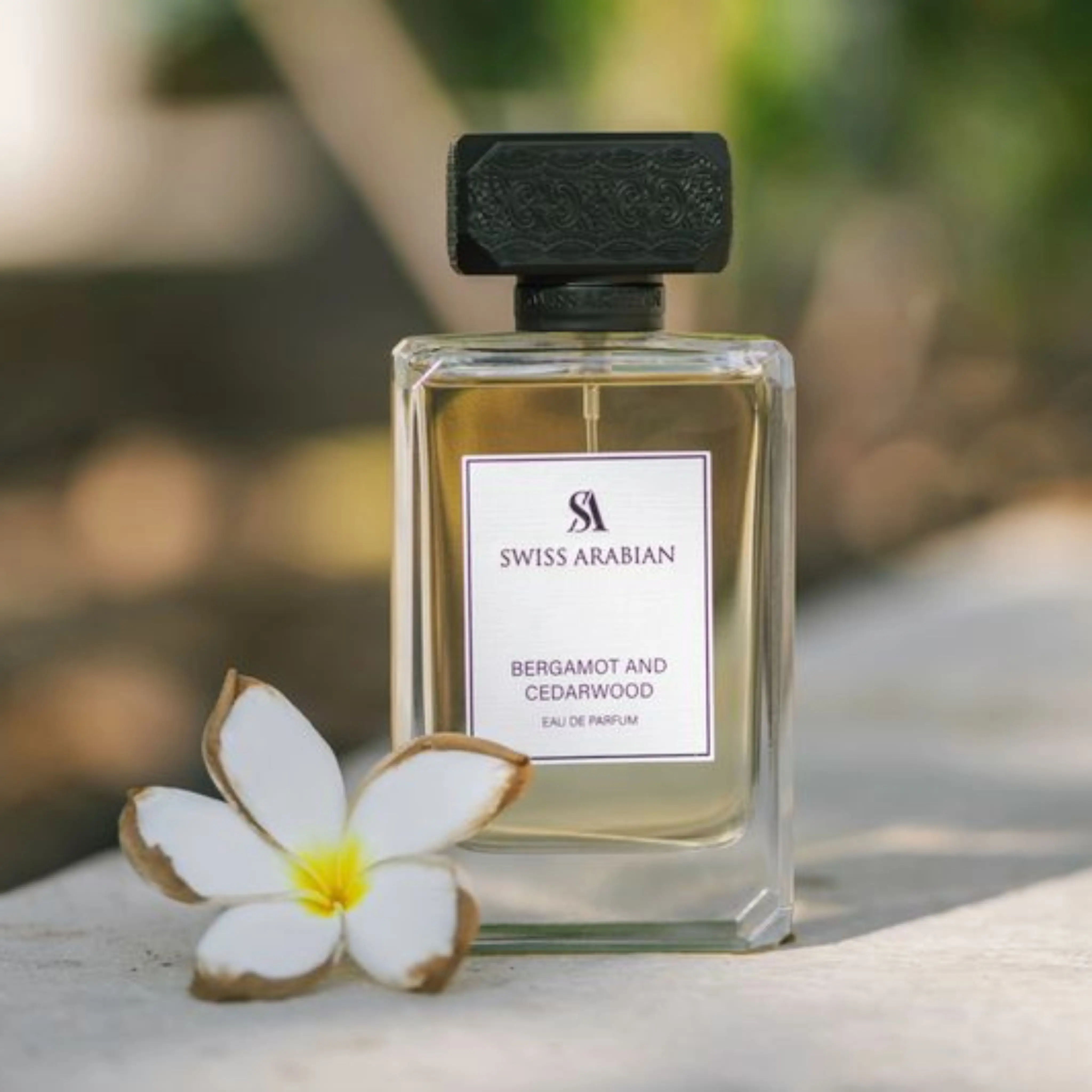 BERGAMOT AND CEDARWOOD - Image 4