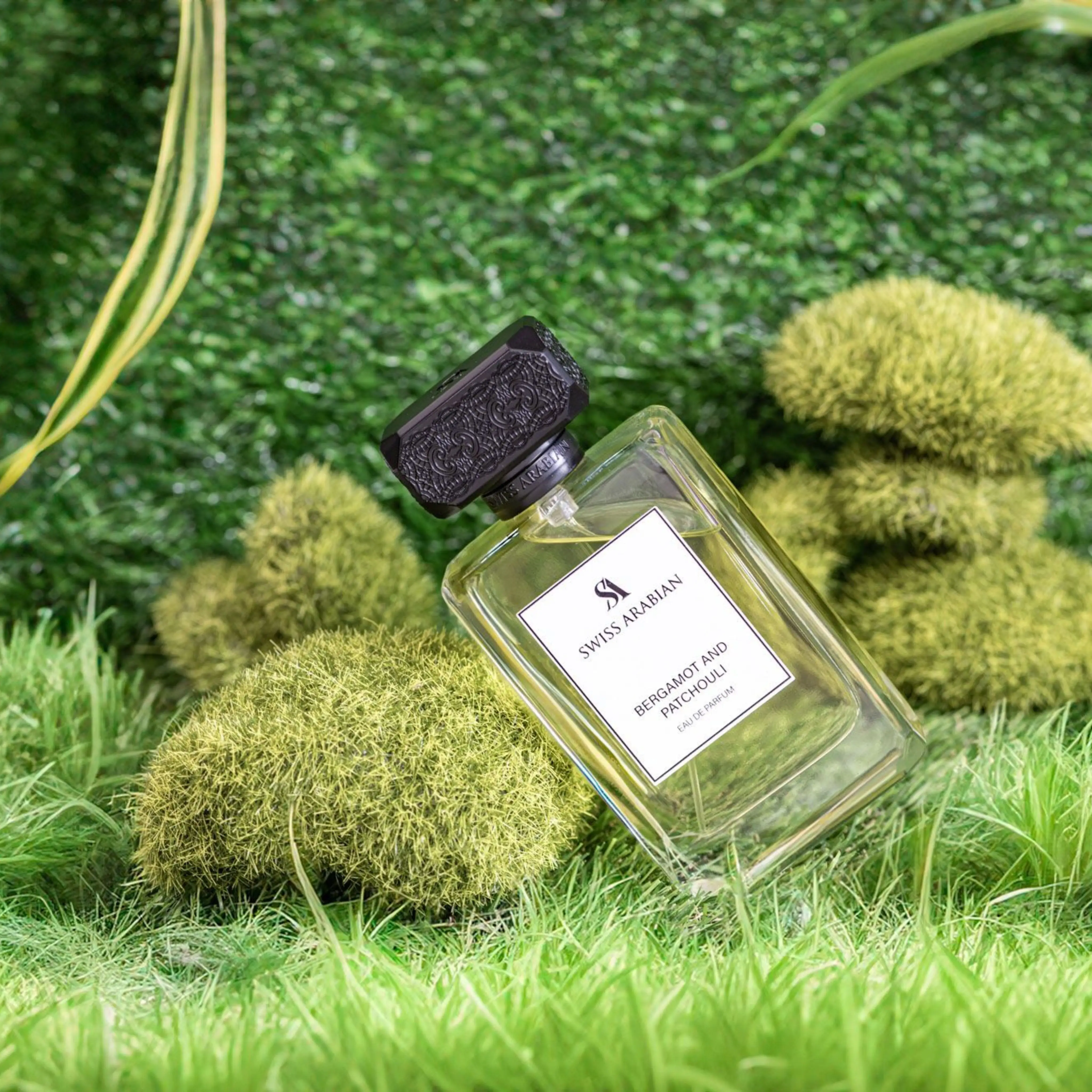 BERGAMOT AND PATCHOULI - Image 6