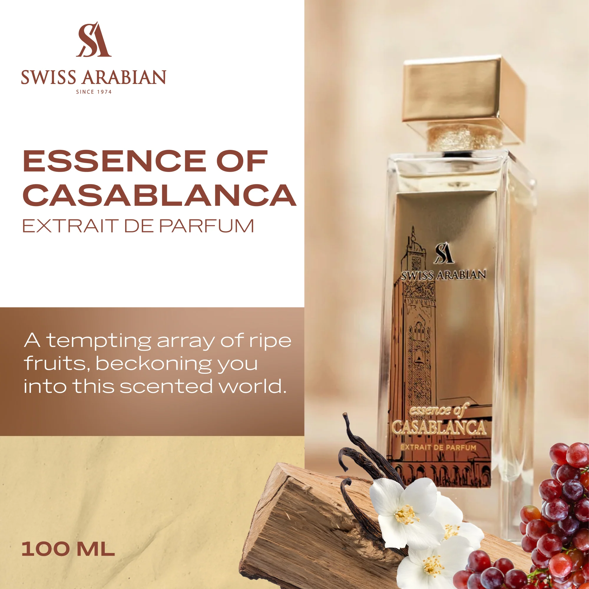 ESSENCE OF CASABLANCA - Image 3