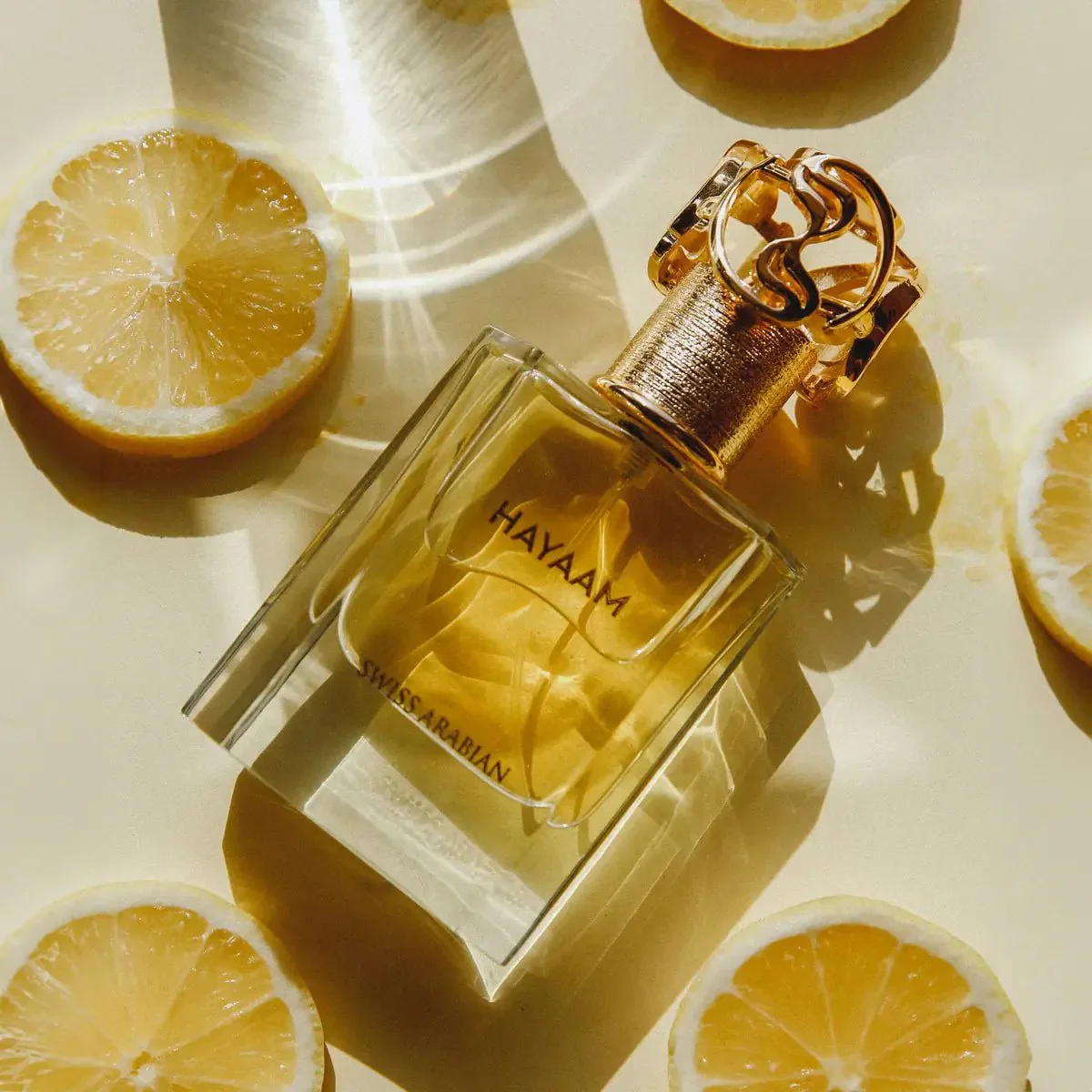 HAYAAM - Image 6