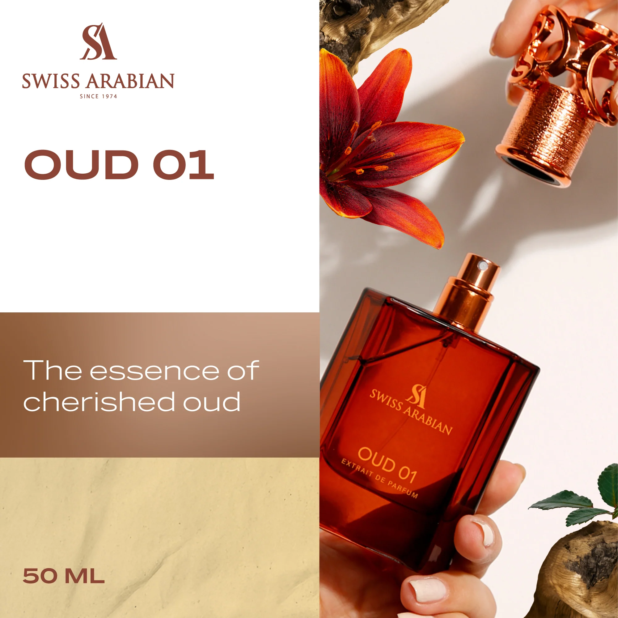 OUD 01 - Image 3