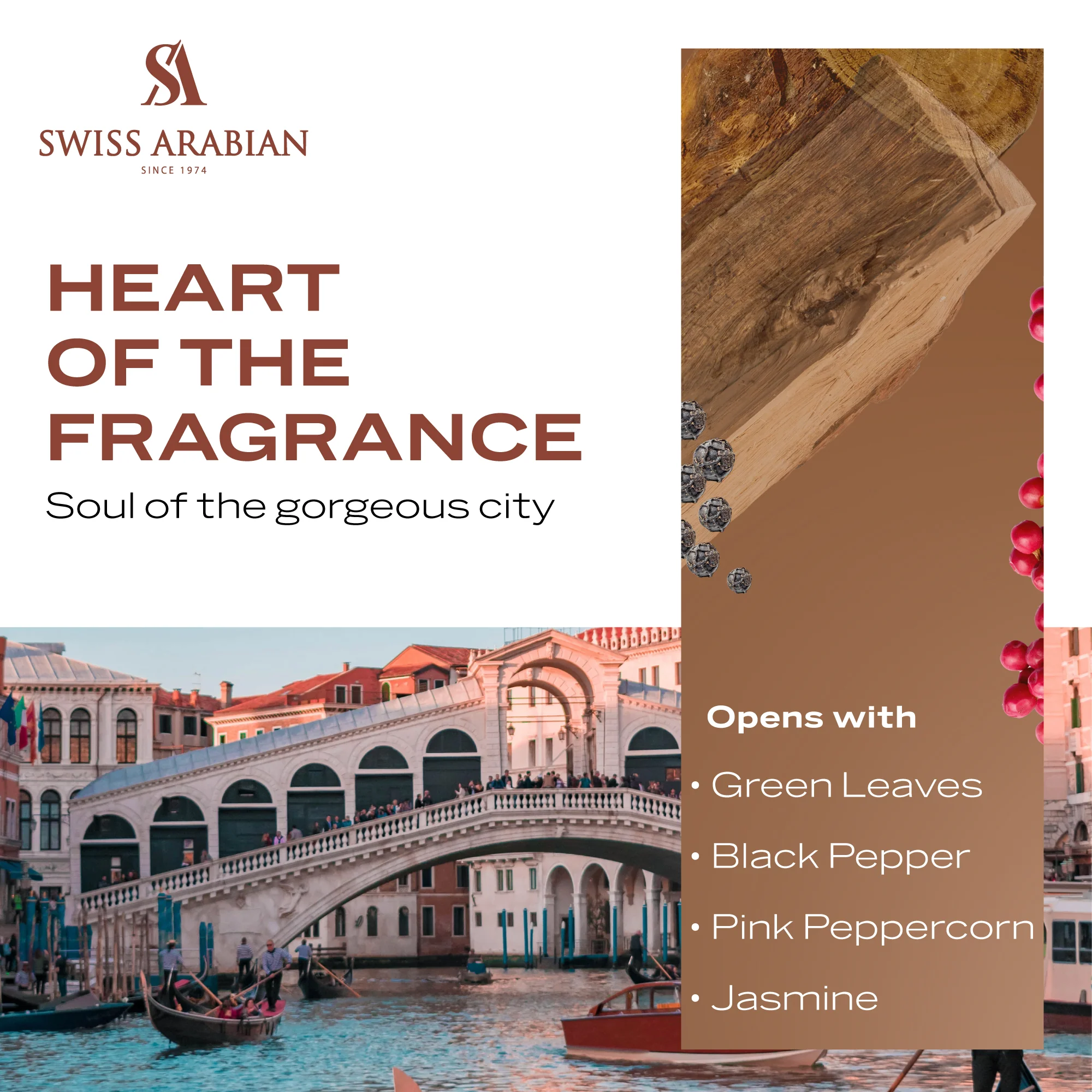 PASSION OF VENICE - Image 5