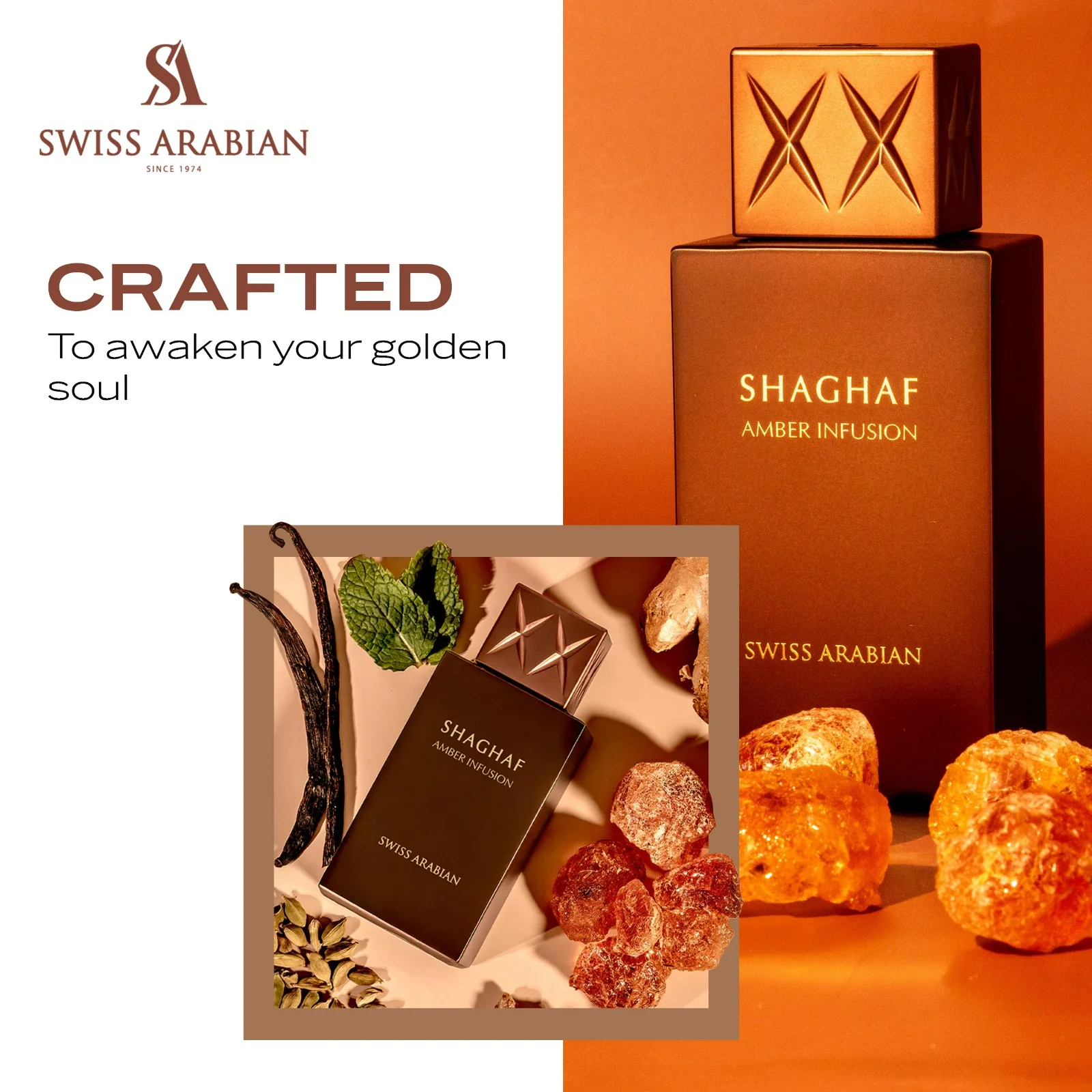 SHAGHAF AMBER INFUSION - Image 6